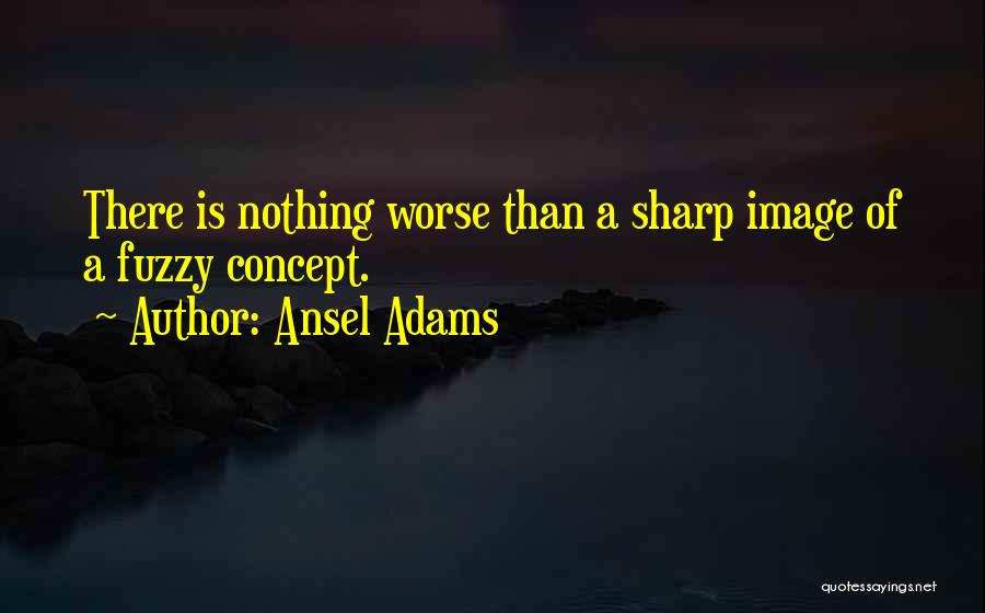 Ansel Adams Quotes 1663624