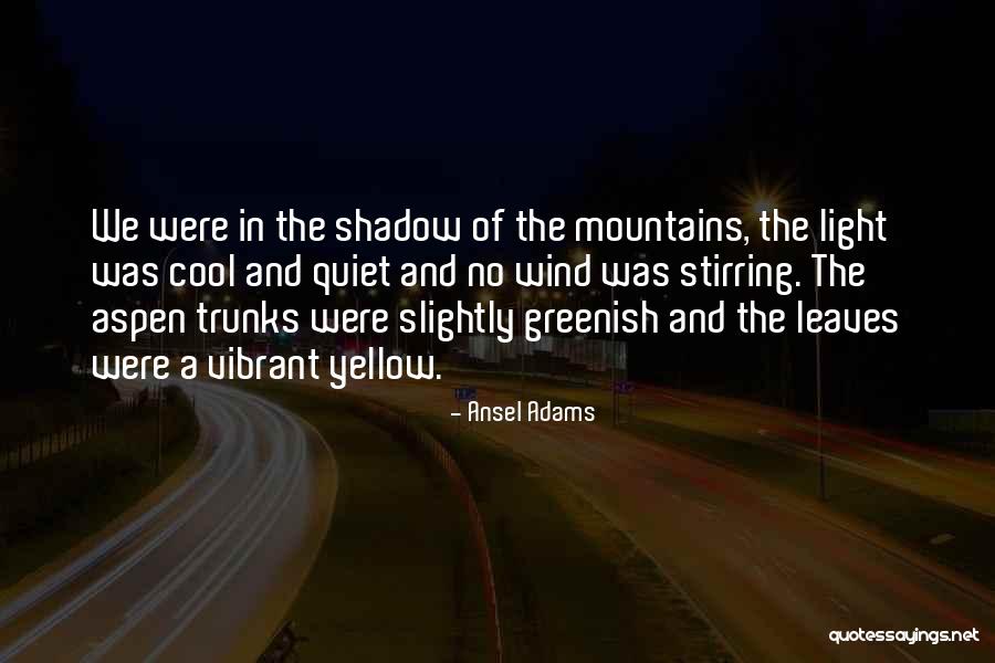 Ansel Adams Quotes 1746665 Ansel Adams Quotes 1746665