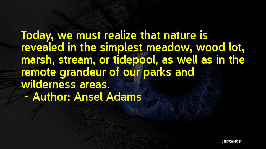 Ansel Adams Quotes 1875184