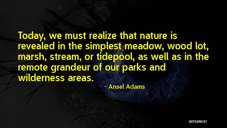 Ansel Adams Quotes 1875184