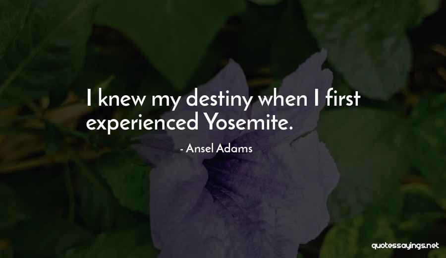 Ansel Adams Quotes 2144591