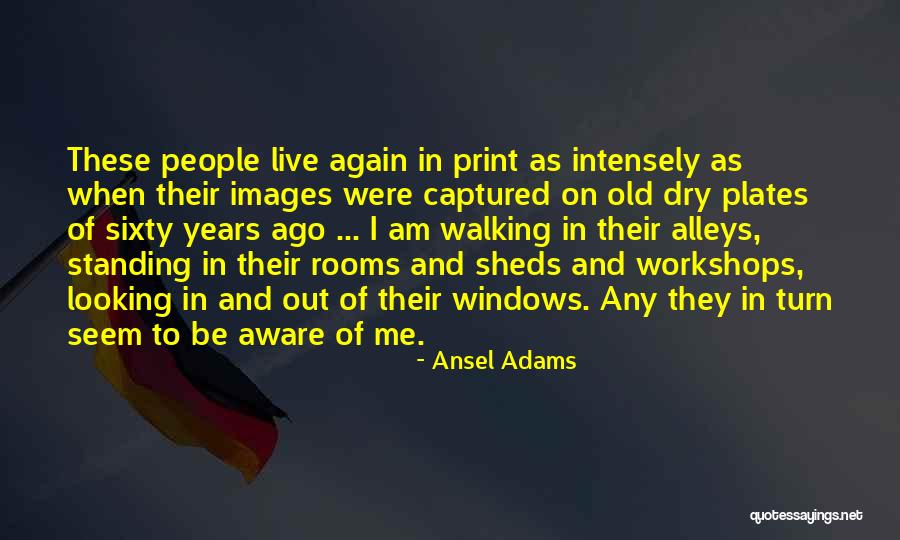 Ansel Adams Quotes 902092