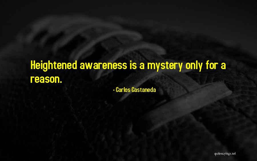 Anselee Quotes By Carlos Castaneda Anselee Quotes By Carlos Castaneda