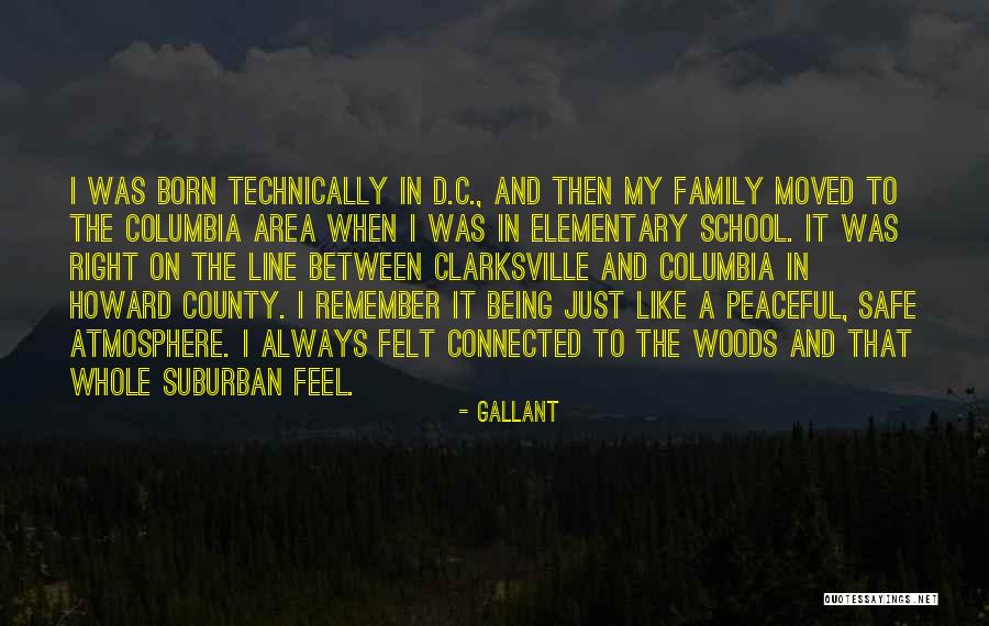 Anselm Rothschild Quotes By Gallant
