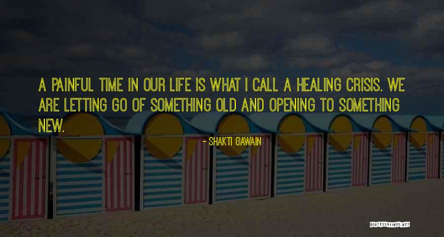 Anshuman Vohra Quotes By Shakti Gawain Anshuman Vohra Quotes By Shakti Gawain