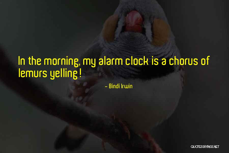 Ansky Yankees Quotes By Bindi Irwin Ansky Yankees Quotes By Bindi Irwin
