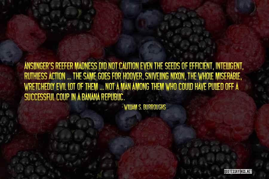 Anslinger And Hoover Quotes By William S. Burroughs Anslinger And Hoover Quotes By William S. Burroughs