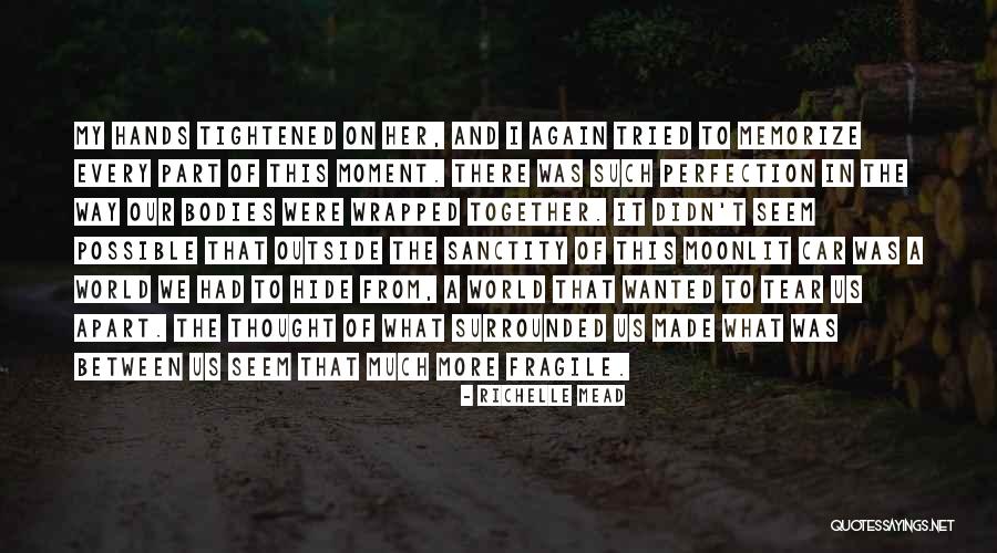 Anslow Engineering Quotes By Richelle Mead Anslow Engineering Quotes By Richelle Mead