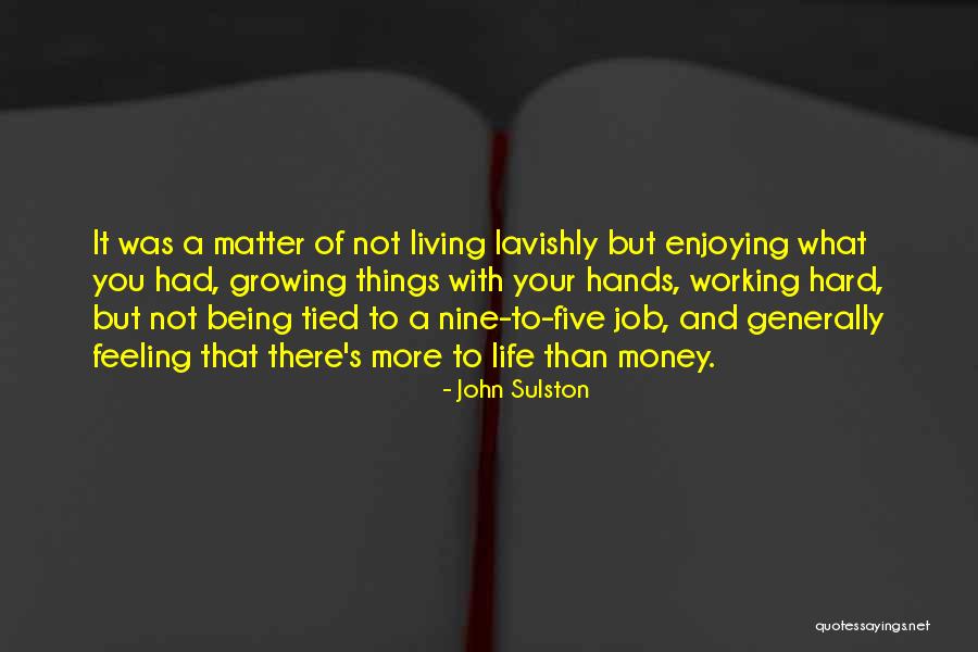 Anspielung Bedeutung Quotes By John Sulston Anspielung Bedeutung Quotes By John Sulston