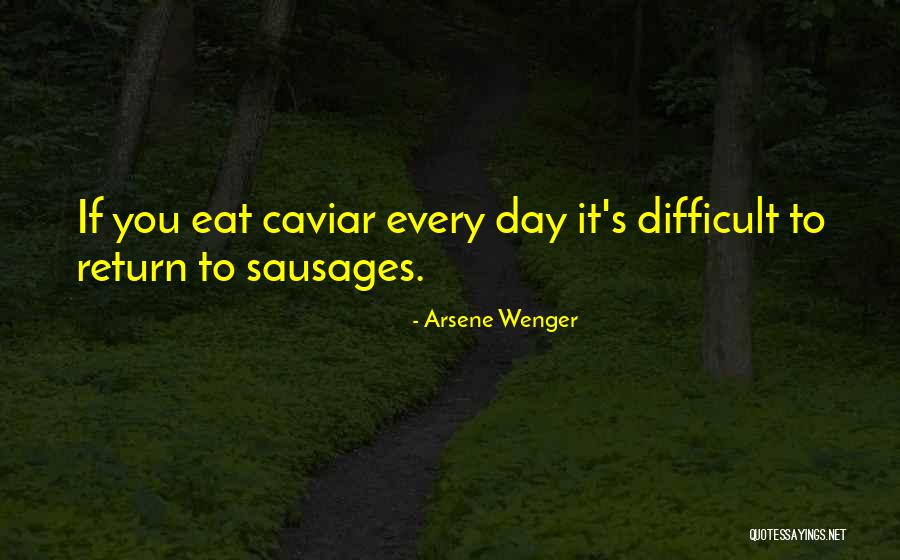 Anstalt In Nieder Quotes By Arsene Wenger Anstalt In Nieder Quotes By Arsene Wenger