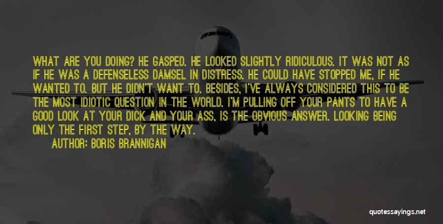 Answer The Question Quotes By Boris Brannigan