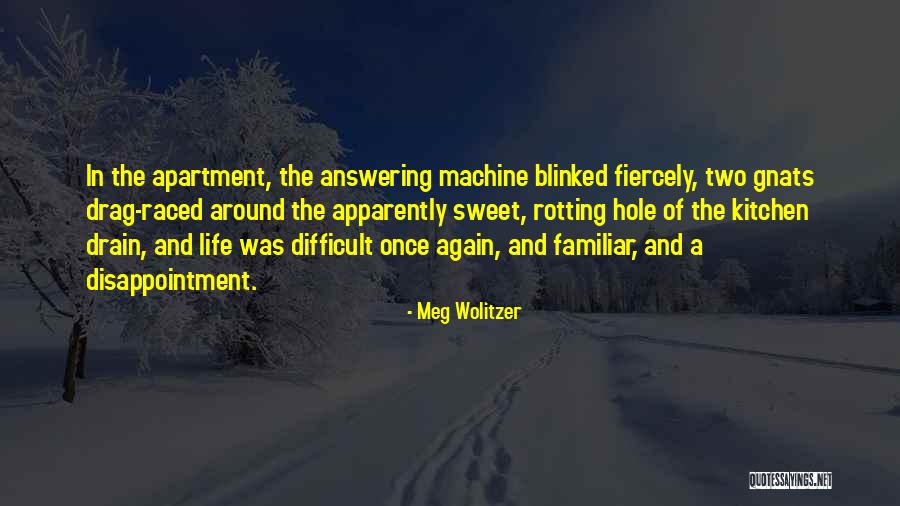 Answering Machine Quotes By Meg Wolitzer