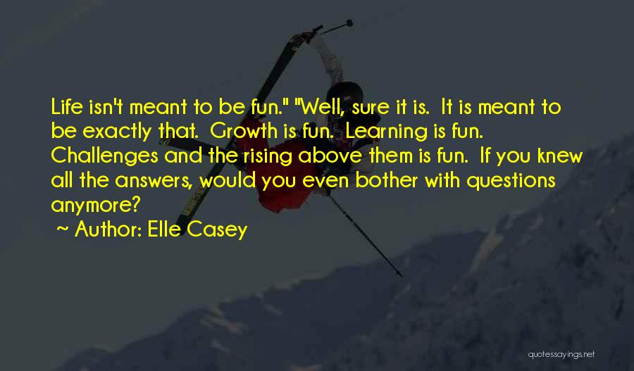 Answers To Questions Quotes By Elle Casey