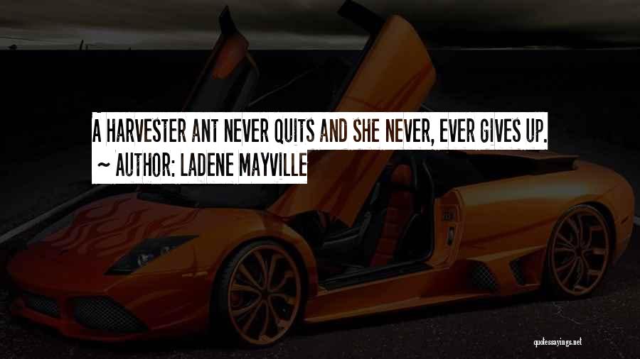 Ant Inspirational Quotes By LaDene Mayville