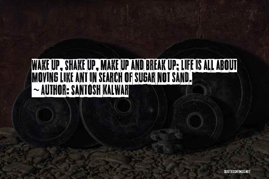 Ant Inspirational Quotes By Santosh Kalwar