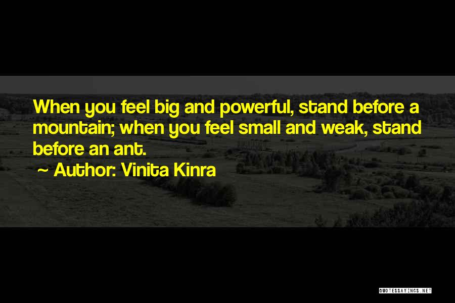 Ant Inspirational Quotes By Vinita Kinra