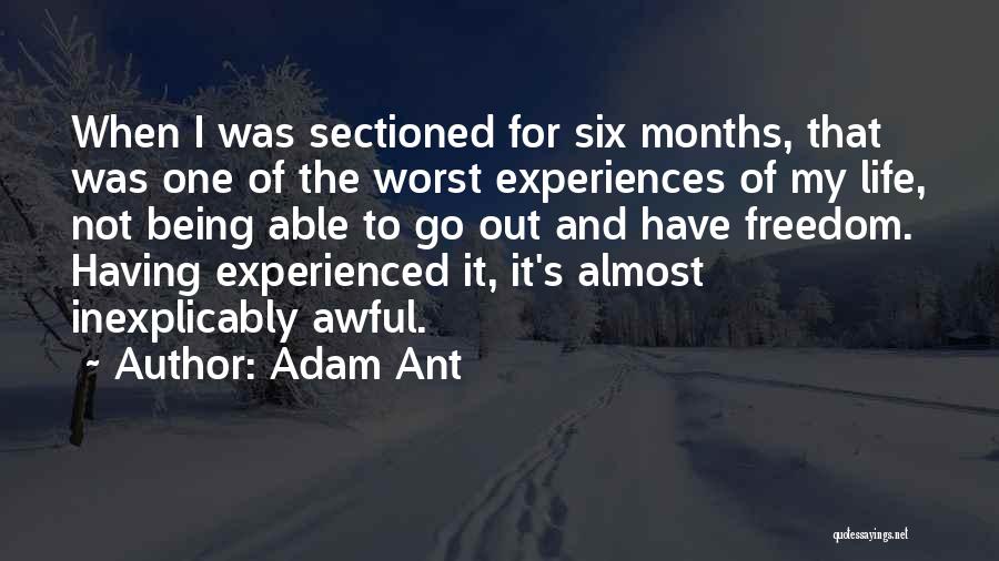 Ant Life Quotes By Adam Ant