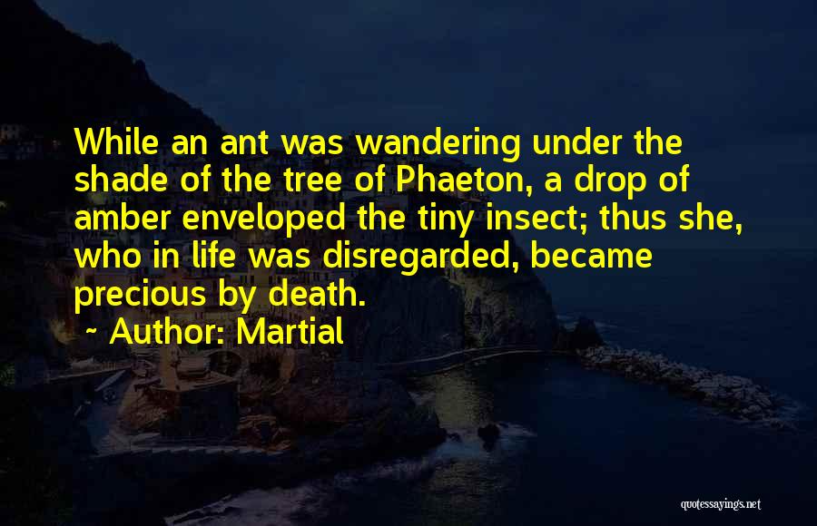 Ant Life Quotes By Martial