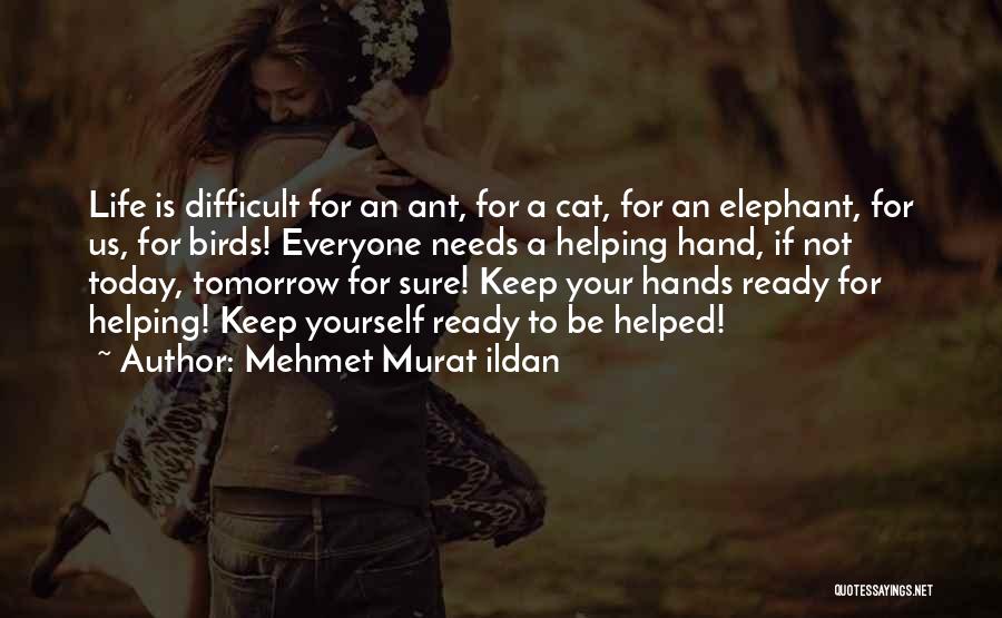 Ant Life Quotes By Mehmet Murat Ildan