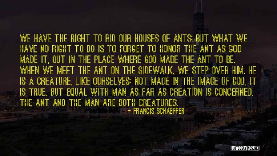 Ant Man 3 Quotes By Francis Schaeffer Ant Man 3 Quotes By Francis Schaeffer