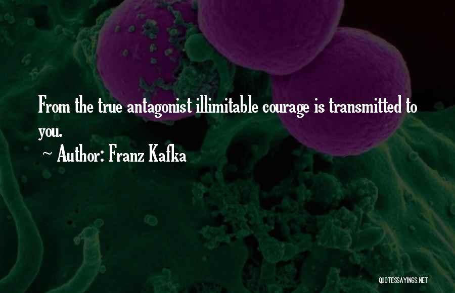 Antagonist Quotes By Franz Kafka