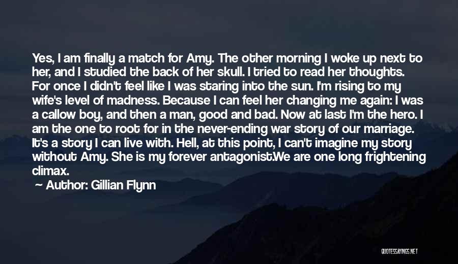 Antagonist Quotes By Gillian Flynn