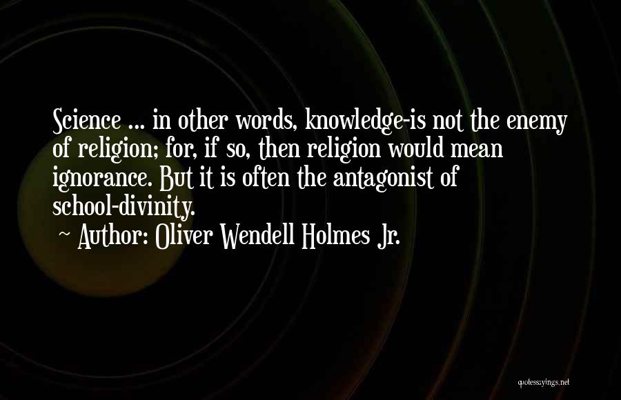 Antagonist Quotes By Oliver Wendell Holmes Jr.