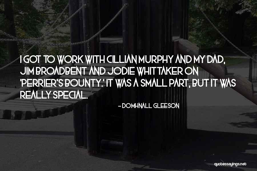 Antano Vienuolio Quotes By Domhnall Gleeson Antano Vienuolio Quotes By Domhnall Gleeson