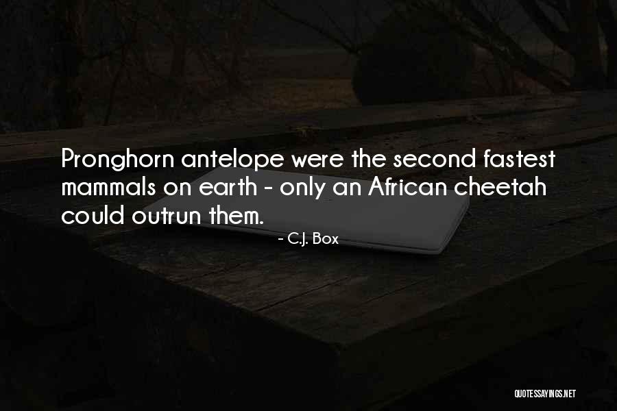 Antelope Quotes By C.J. Box Antelope Quotes By C.J. Box