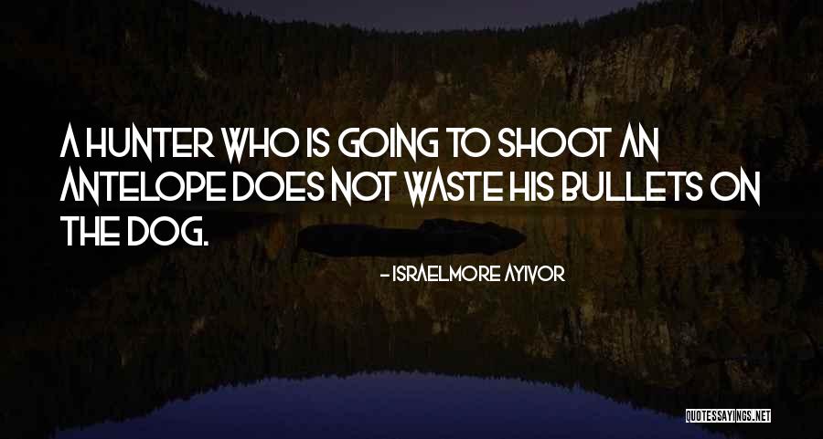 Antelope Quotes By Israelmore Ayivor Antelope Quotes By Israelmore Ayivor