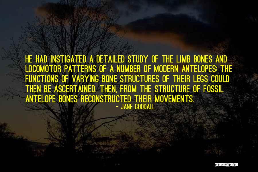 Antelope Quotes By Jane Goodall Antelope Quotes By Jane Goodall