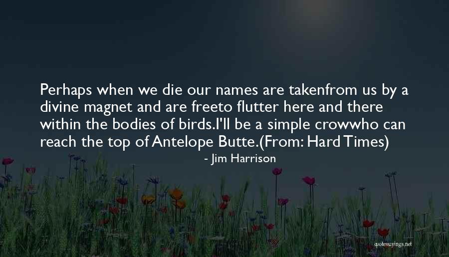 Antelope Quotes By Jim Harrison Antelope Quotes By Jim Harrison