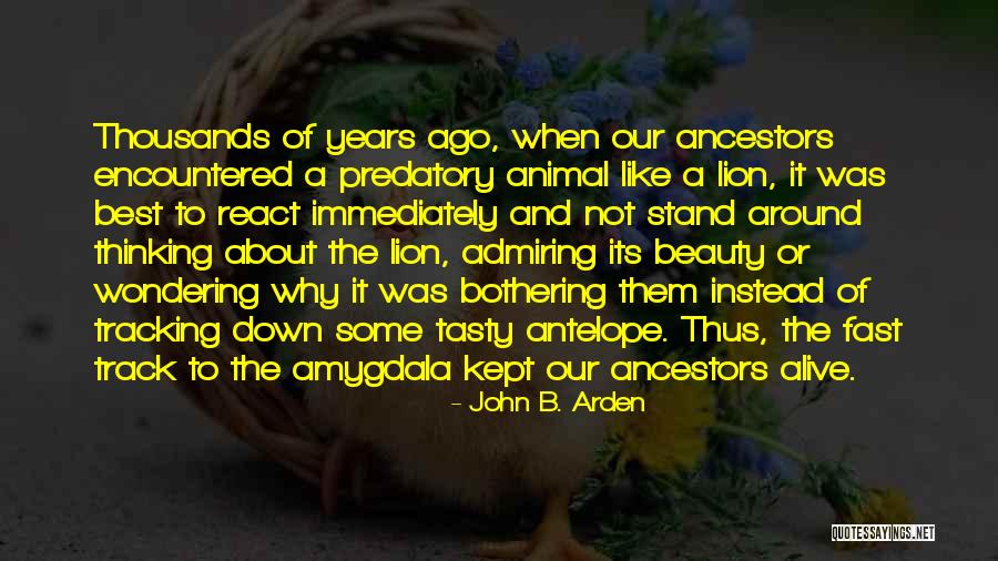 Antelope Quotes By John B. Arden Antelope Quotes By John B. Arden