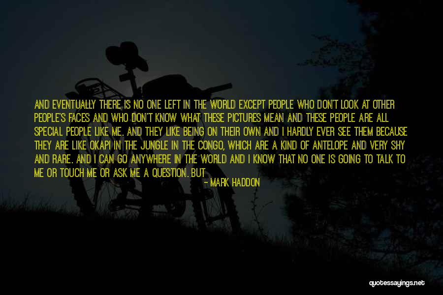 Antelope Quotes By Mark Haddon Antelope Quotes By Mark Haddon