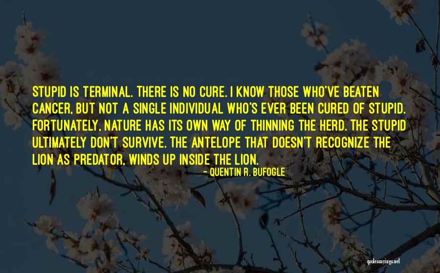 Antelope Quotes By Quentin R. Bufogle Antelope Quotes By Quentin R. Bufogle