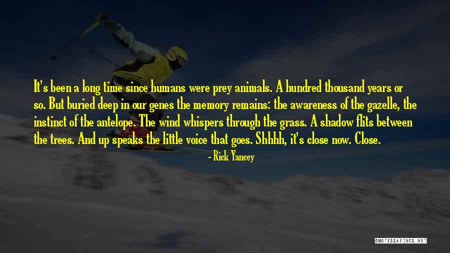 Antelope Quotes By Rick Yancey Antelope Quotes By Rick Yancey