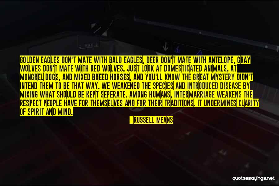 Antelope Quotes By Russell Means Antelope Quotes By Russell Means