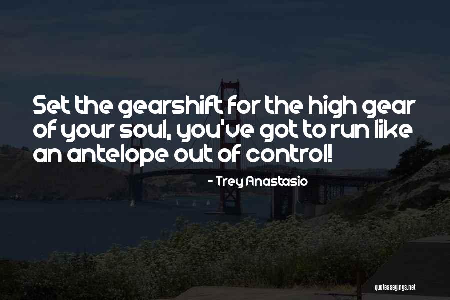 Antelope Quotes By Trey Anastasio Antelope Quotes By Trey Anastasio