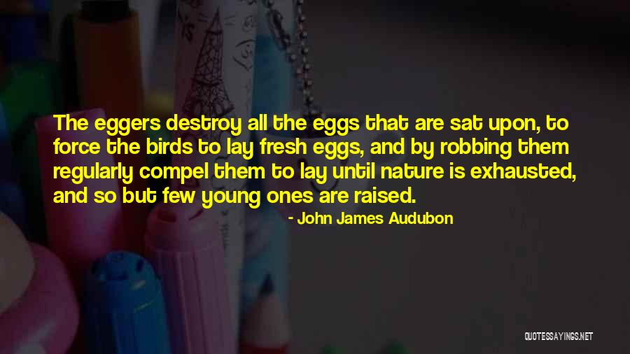 Antenova Gps Quotes By John James Audubon Antenova Gps Quotes By John James Audubon