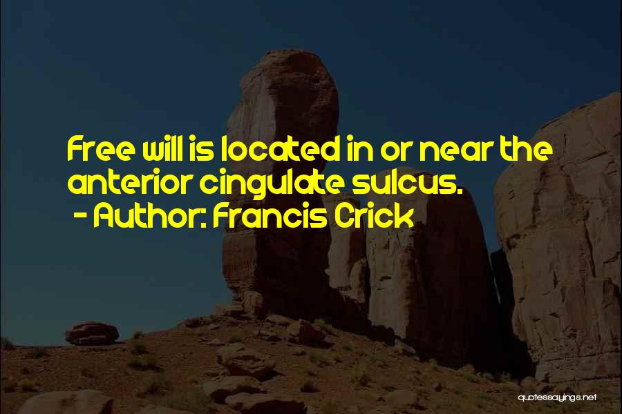 Anterior Quotes By Francis Crick