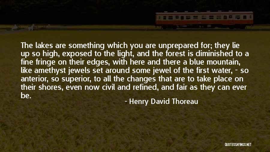 Anterior Quotes By Henry David Thoreau