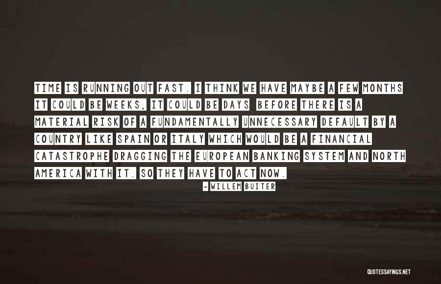 Anteriormente En Quotes By Willem Buiter