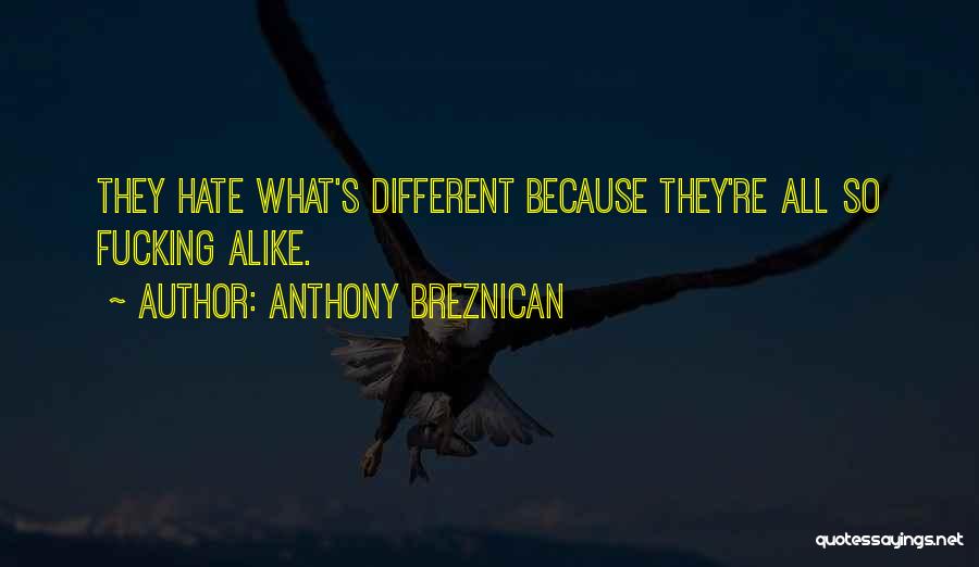 Anthony Breznican Quotes 2004108