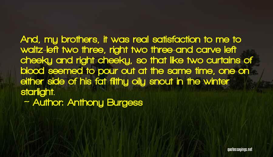 Anthony Burgess Quotes 1159312