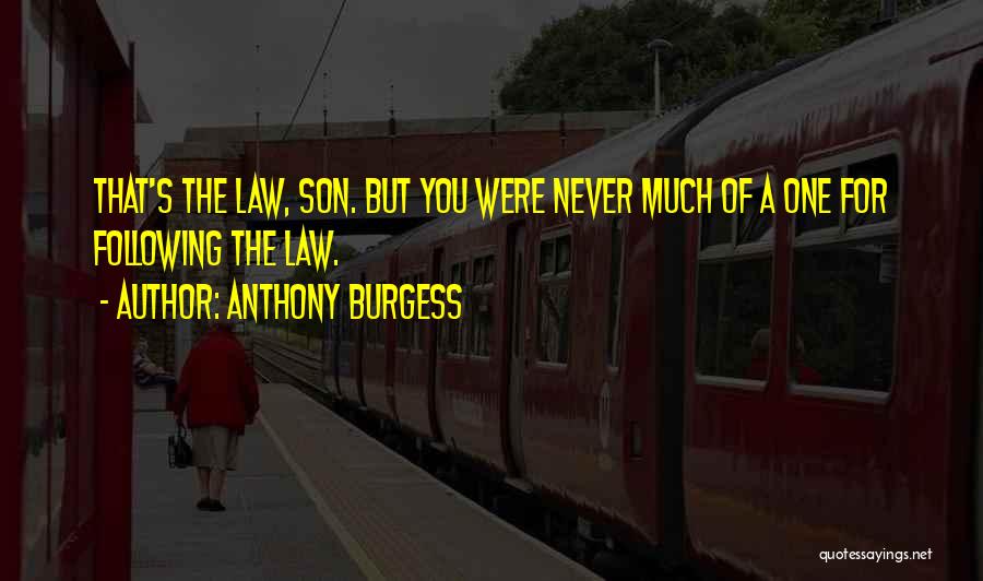 Anthony Burgess Quotes 893104
