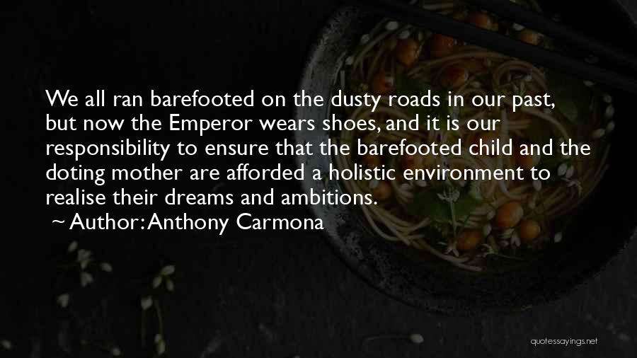 Anthony Carmona Quotes 1783984