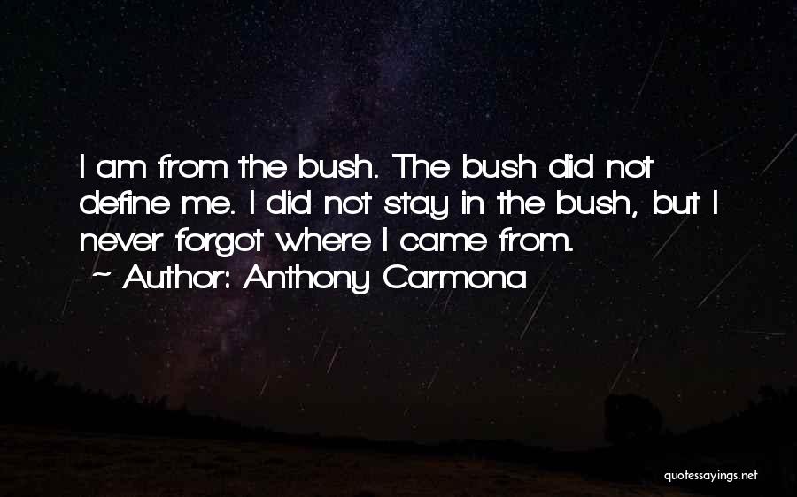 Anthony Carmona Quotes 2263448