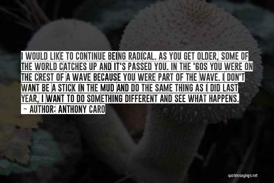 Anthony Caro Quotes 2146417