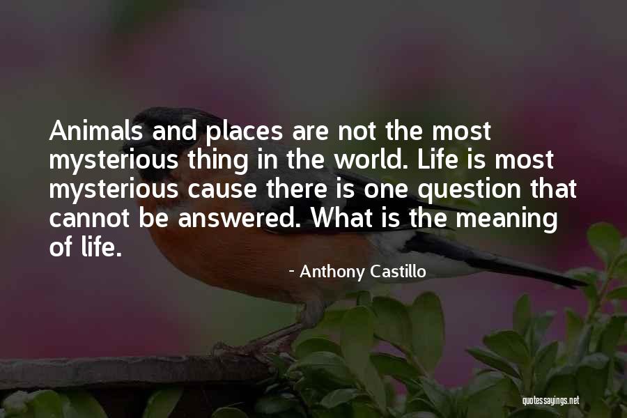 Anthony Castillo Quotes 450029