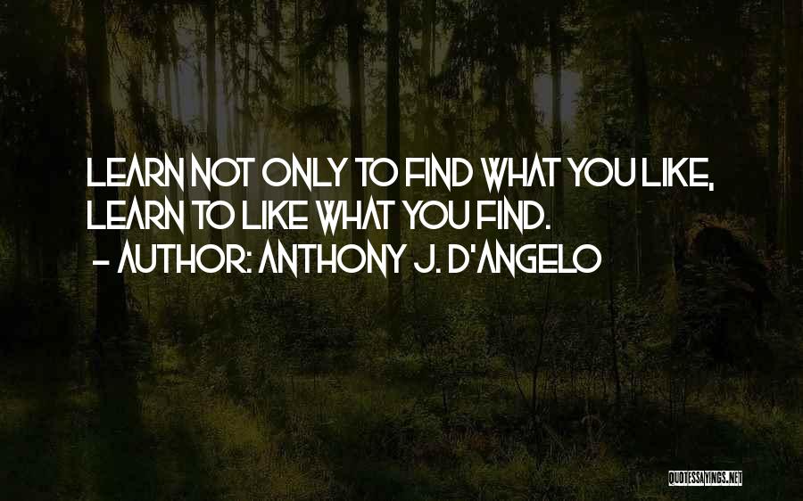 Anthony D Angelo Quotes By Anthony J. D'Angelo